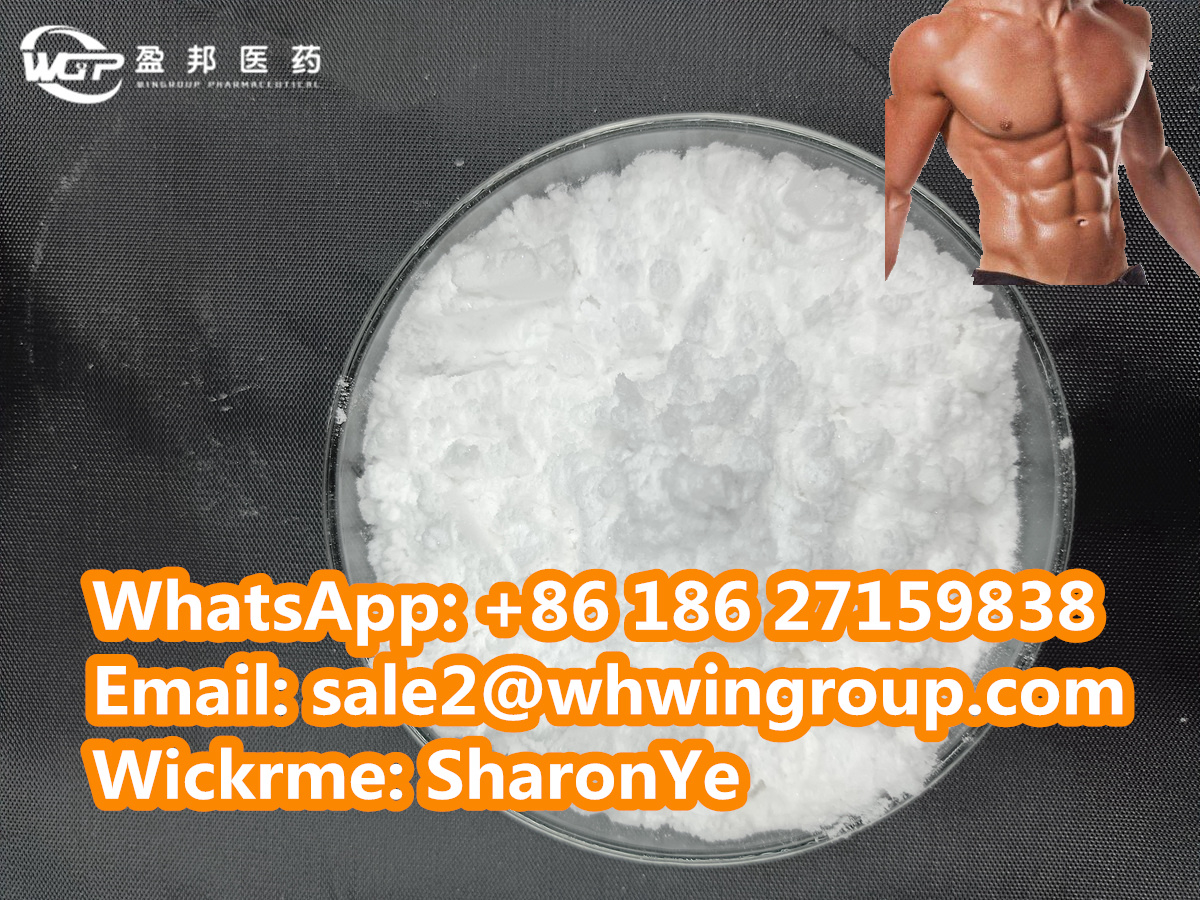 The Newest Sarms 99% Purity YK-11 Powder CAS 1370003-76-1 with Safe Delivery to America/Canada/Australia/UK WhatsApp: +8618627159838